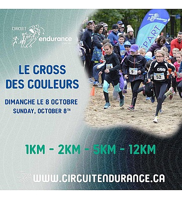 Étape 5 - Cross des Couleurs