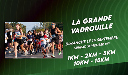The Grande Vadrouille